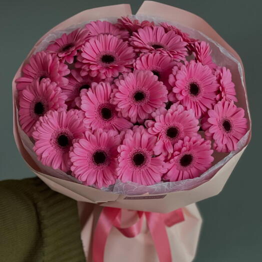Gerberas Rosas