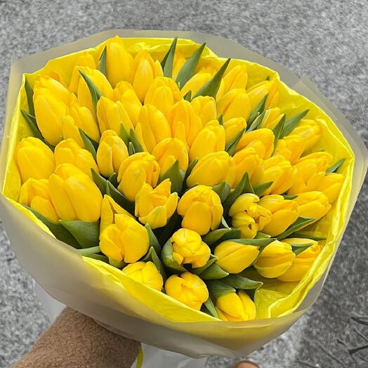 Tulipanes Amarillos